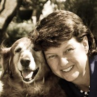 Nan Cowley avatar image