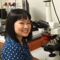 Jane Seto avatar image