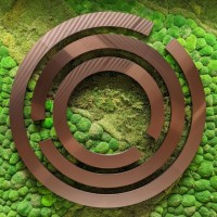 Anita Bulman avatar image