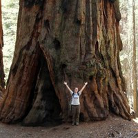 Catherine Fahey avatar image