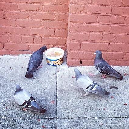 Jessica Allen avatar image