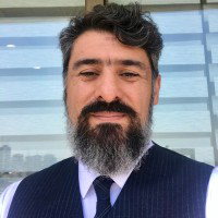 Mostafa Lameei avatar image