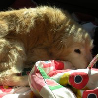 Beth Abramson avatar image