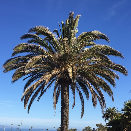 Philip Karl avatar image