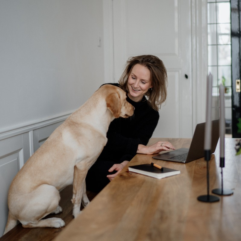 Tessa Robijns avatar image