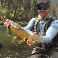 J.R. Maggard avatar image