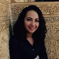 Nehal Amer avatar image