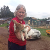 Sonja Hedlund avatar image