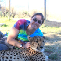 Tracey Hinton avatar image