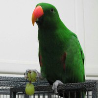 James Mardel avatar image