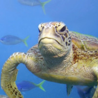 Gareth Moorhead avatar image