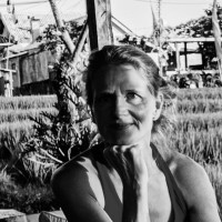 Evelyn Krull avatar image