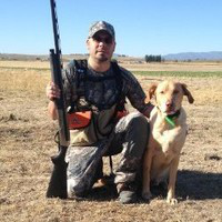 Chris Dominguez avatar image