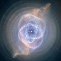 Jim Elliott avatar image