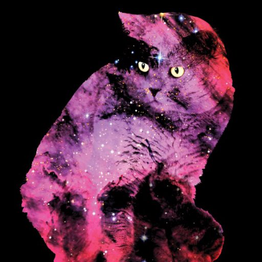 Emily Brodman avatar image