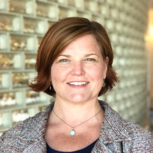 Shannon Fitzgerald avatar image