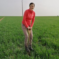 Nathalie Bonnet avatar image