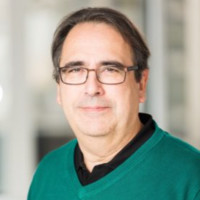 Frank Daems avatar image