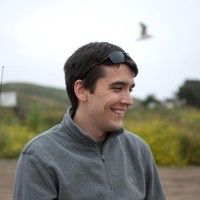 Alex Vasilescu avatar image