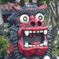 Avner Peled avatar image