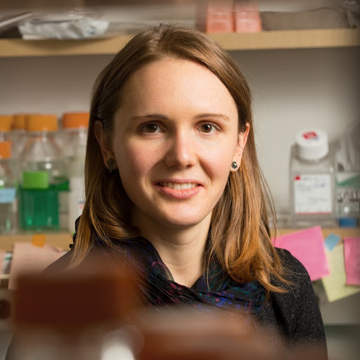 Anna Chase avatar image