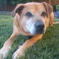 James Ensten avatar image