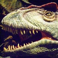 Jonathon Thomas avatar image