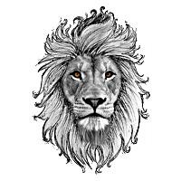 Lior Hakim avatar image