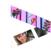 Katia De Vos avatar image