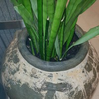 Joshua Palmer avatar image