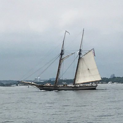 Frank Connolly avatar image