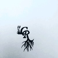 Anthony Pisula avatar image