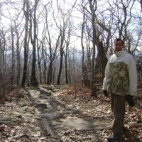 Marc Andelman avatar image