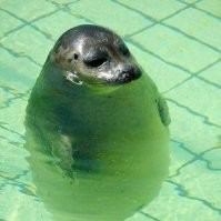 Toshiaki Matsuura avatar image