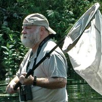 David Small avatar image