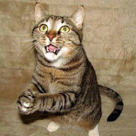 Jamie Murdoch avatar image