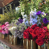 Airin Laude avatar image