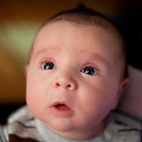 Tony Spinelli avatar image