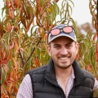 Sam Whittle avatar image