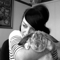 Amy Nelson avatar image