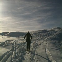 Marco Mantovani avatar image