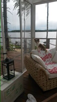 Pekka Tammela avatar image