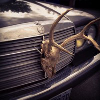 Spencer Riviera avatar image