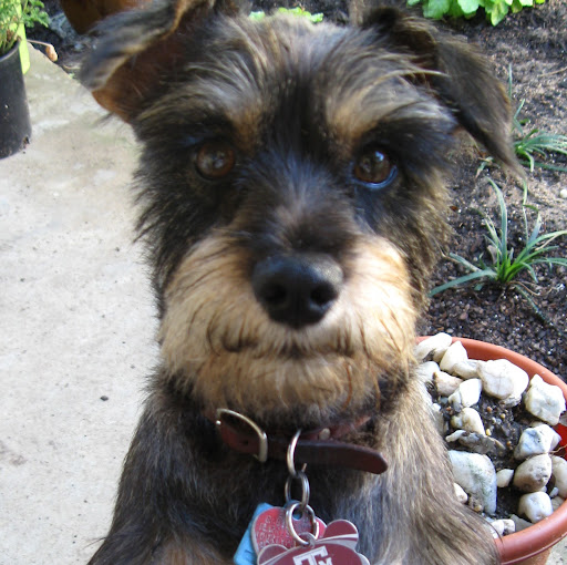 Dorian Martin avatar image