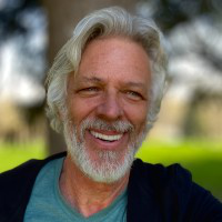 Lee Wilson avatar image