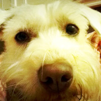 Sally Kim avatar image