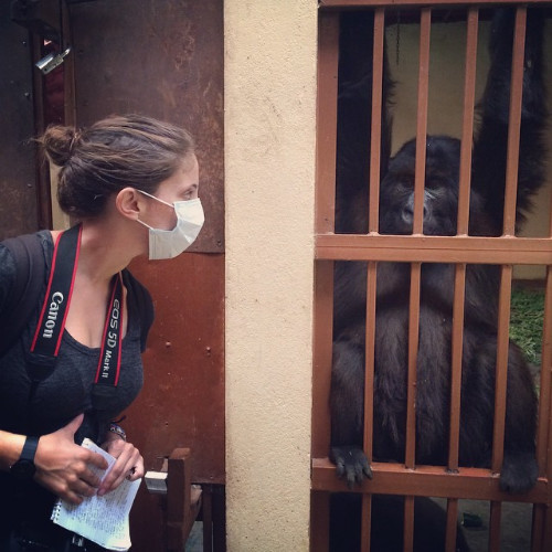 Nina Strochlic avatar image