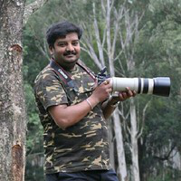 Ravi Kumar avatar image
