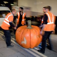 Tim Mitchell avatar image