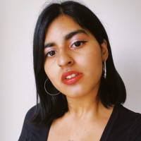 Armiya Shaikh avatar image